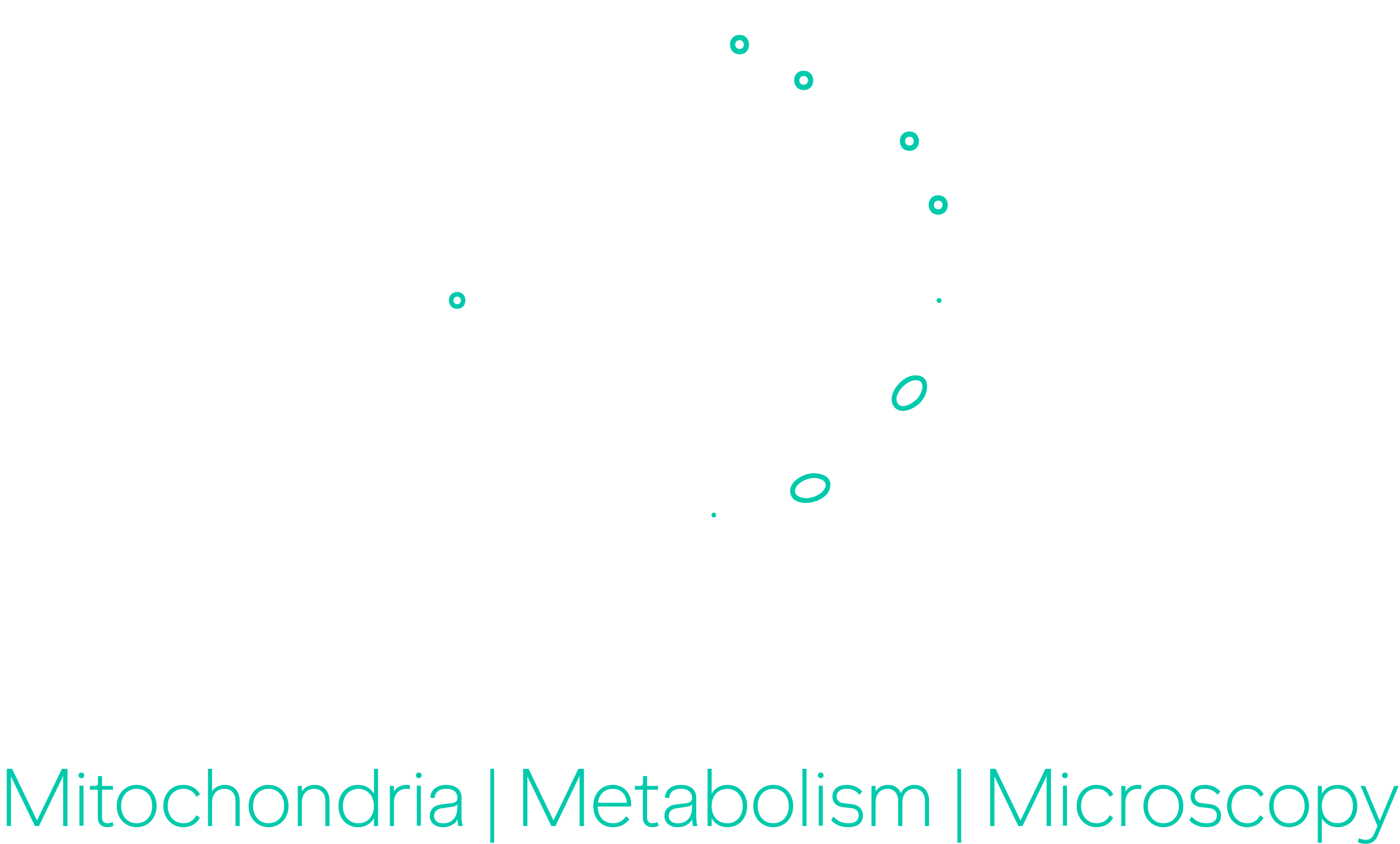 Landoni Lab