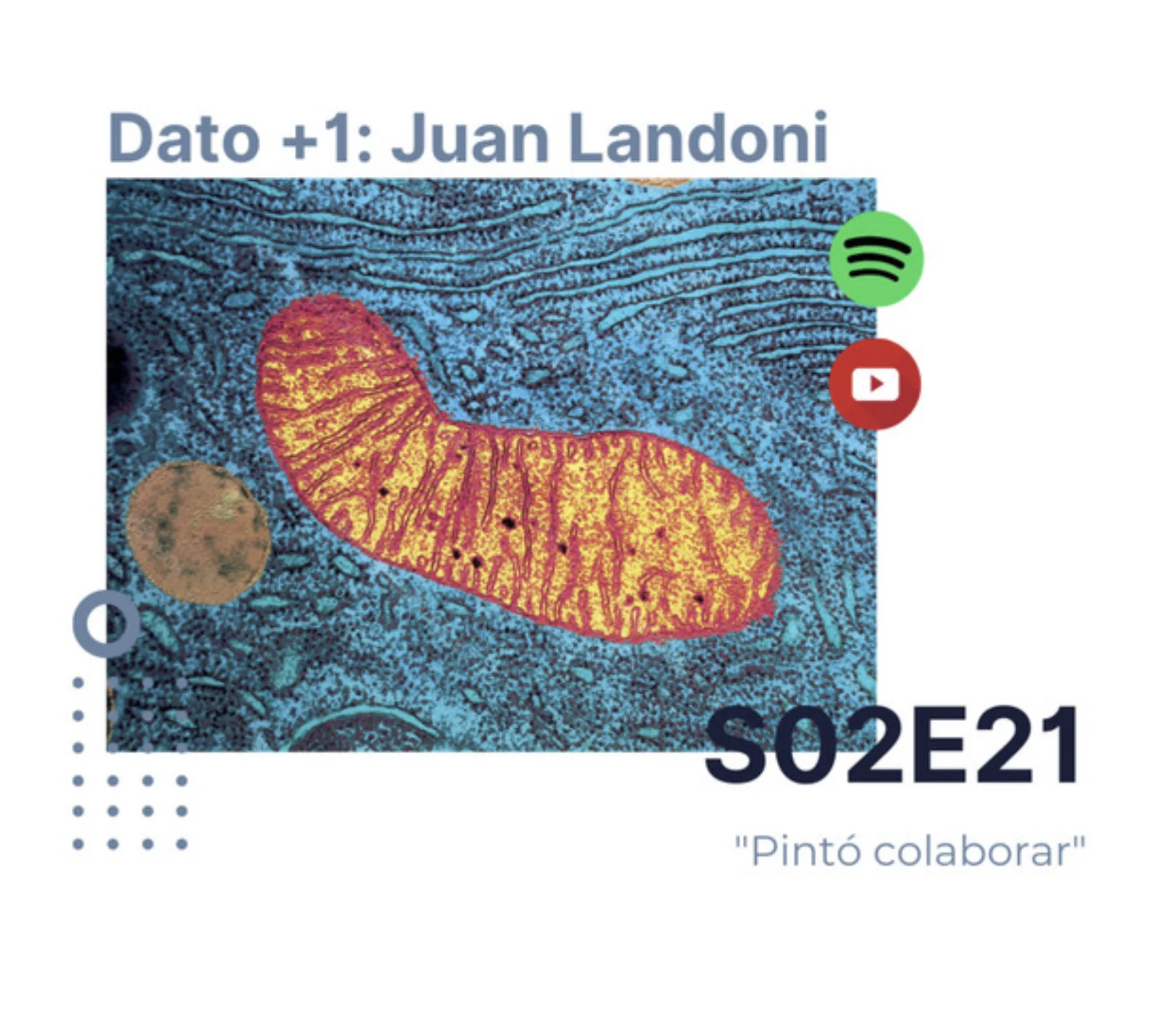 World Mitochondrial Disease Week