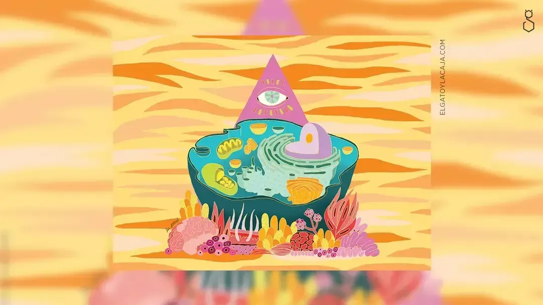 Ctrl + Z — Cellular Reprogramming